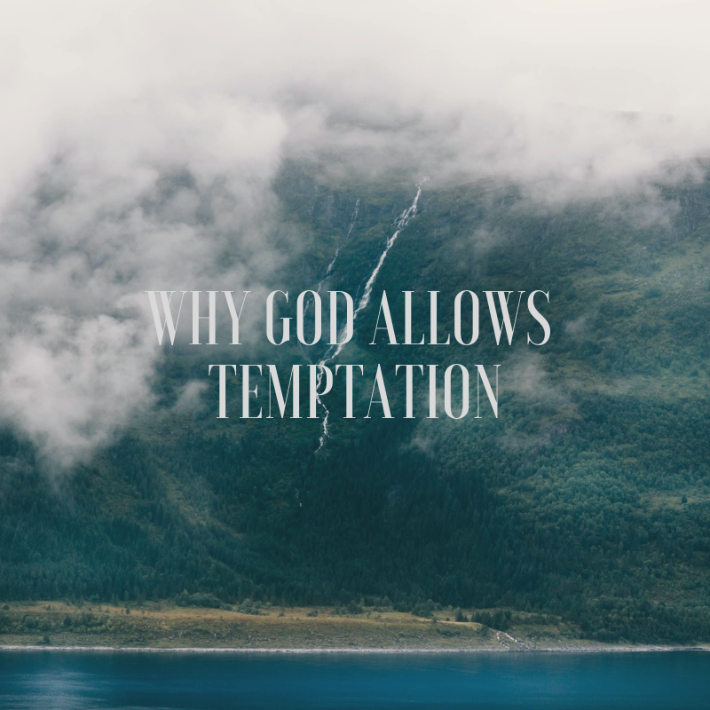 Why God Allows Temptation- Blog - There's Still Hope