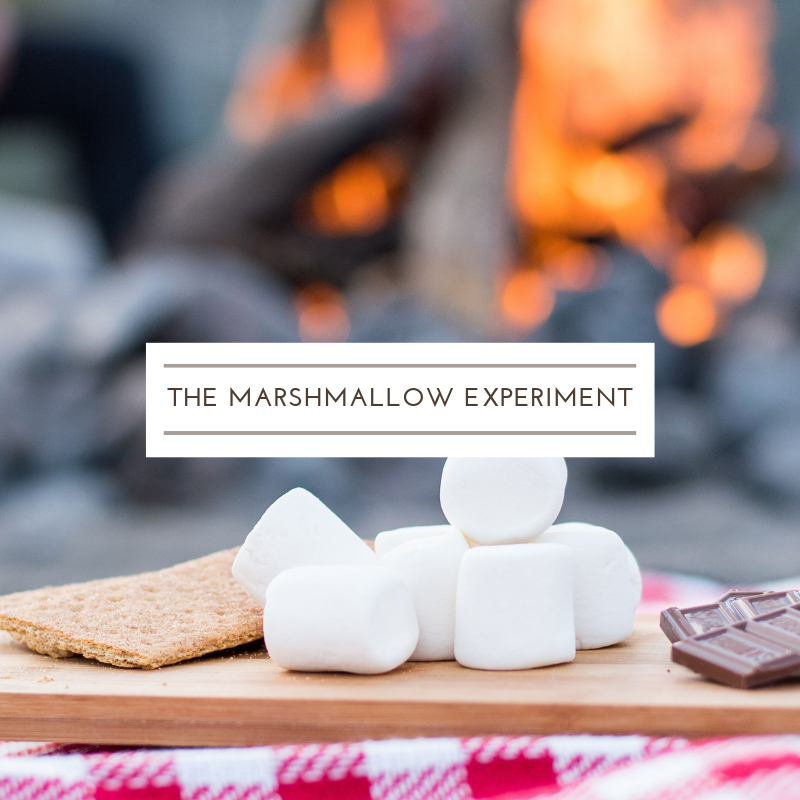 The Marshmallow Experiment Blog There's Still Hope