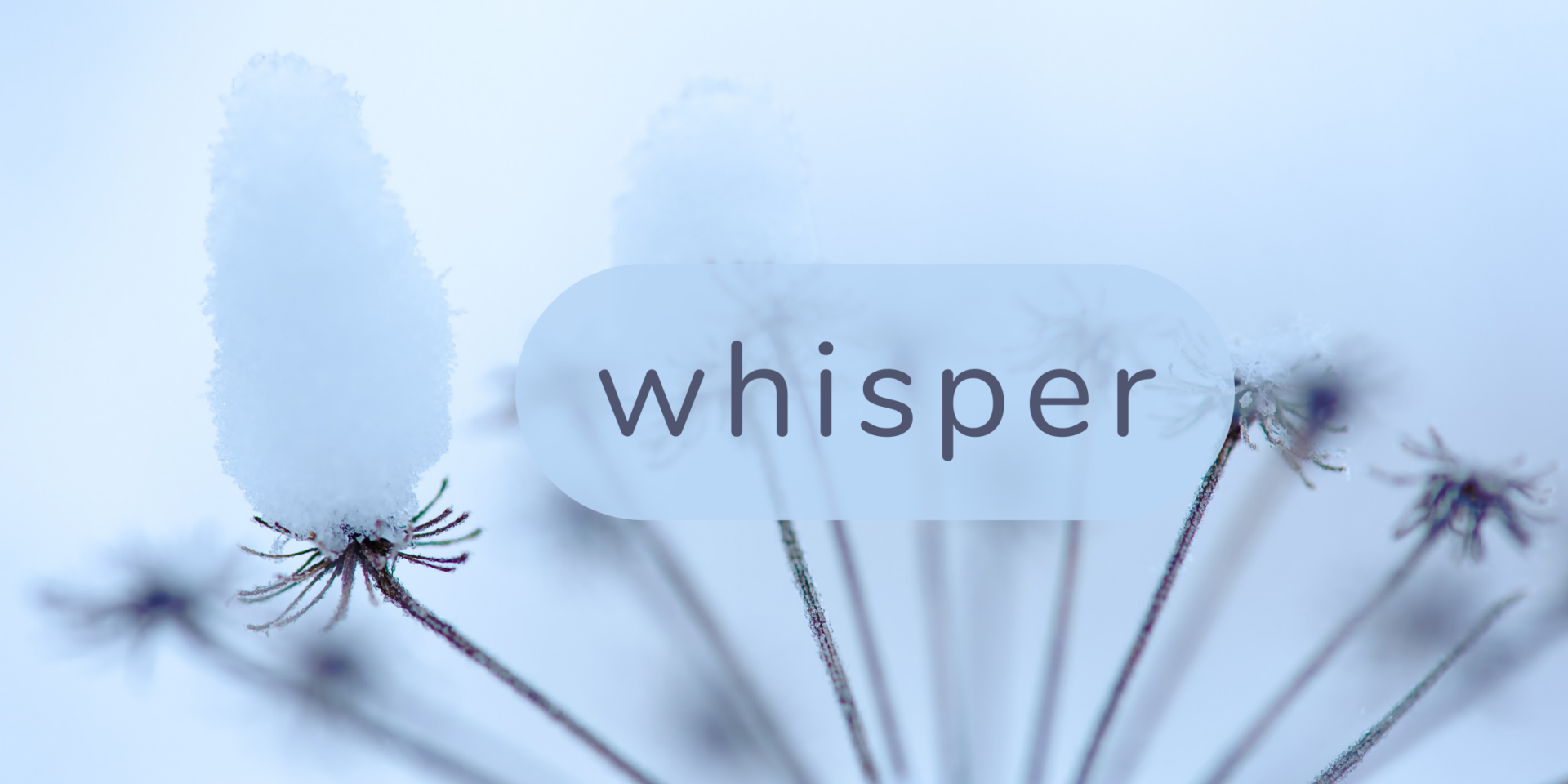 whisper