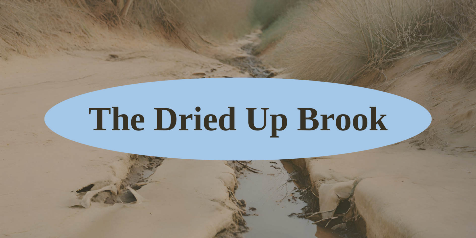 The Dried Up Brook - There's Still Hope